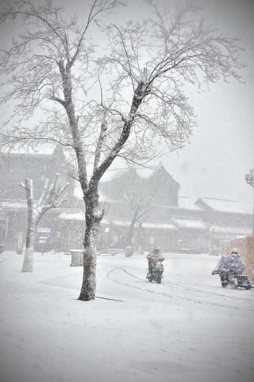 摄影名家李超作品《风雪行》文艺创作欣赏