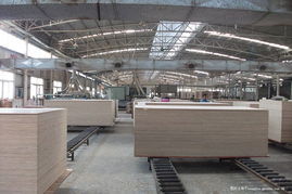 文艺与商业的和谐共鸣——八步区文艺界采风创作笔会掠影