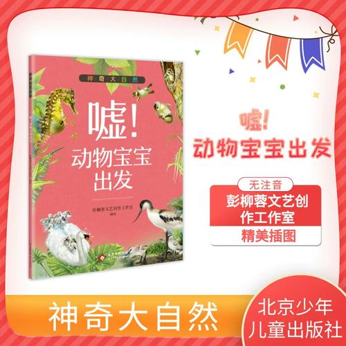 动物宝宝出发